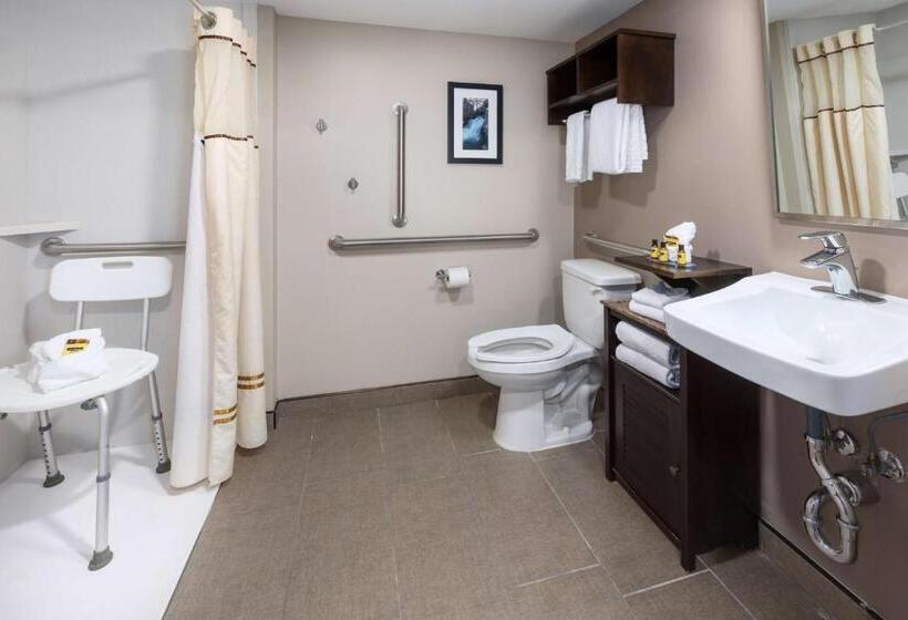 장애인을 위한 킹사이즈 침대 스탠다드 룸, Best Western Plus Ramkota
