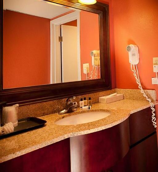 스위트, Grand Texan Hotel And Convention Center