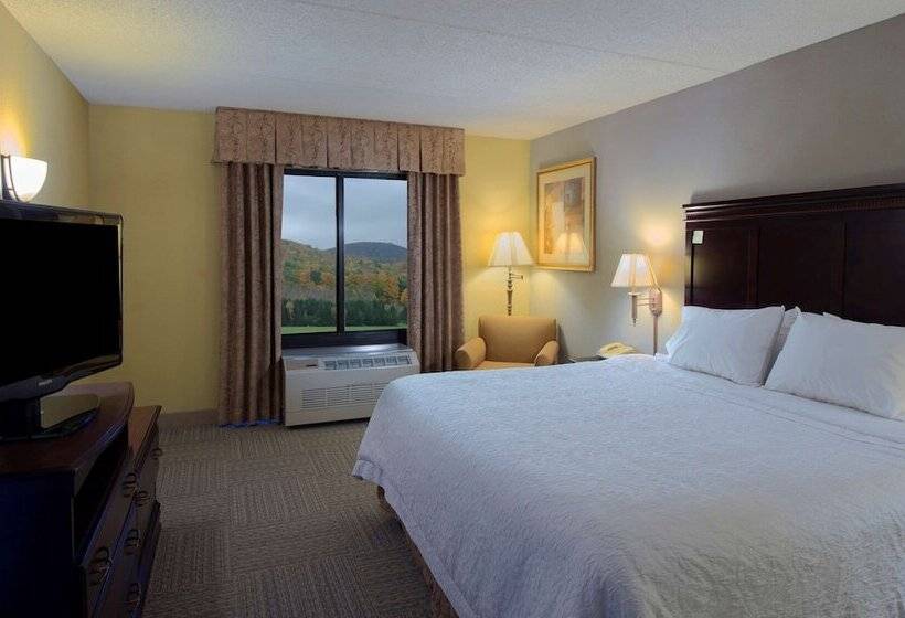 Номер Стандарт, Hampton Inn Bennington