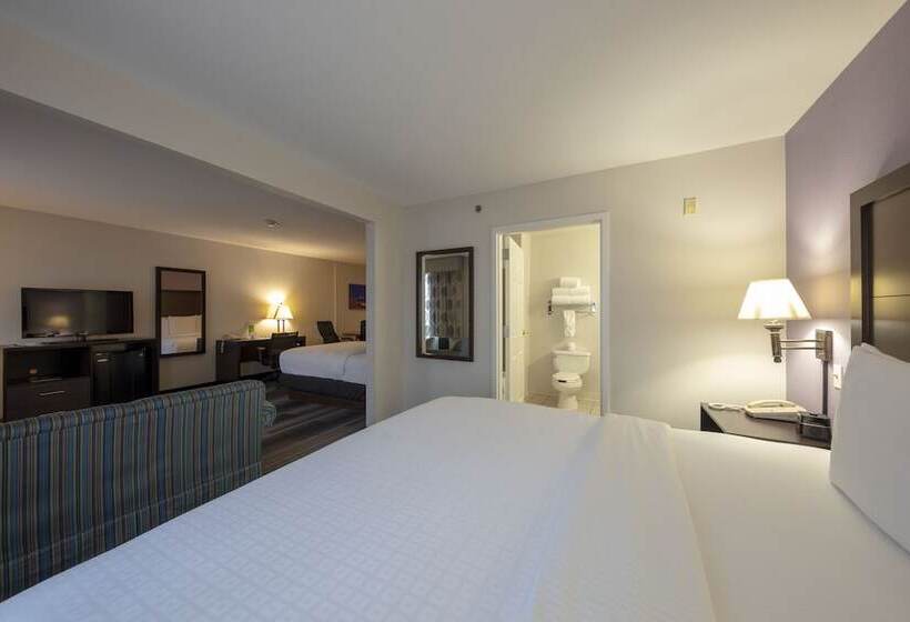 Suíte Deluxe, La Quinta Inn & Suites By Wyndham Springfield Airport Plaza