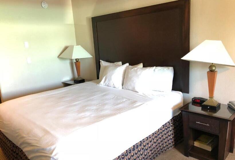 带大床的标准间, Shilo Inn Portland Rose Garden   Convention Center