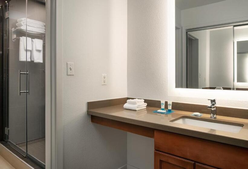 스위트, Hyatt House Denver Tech Center