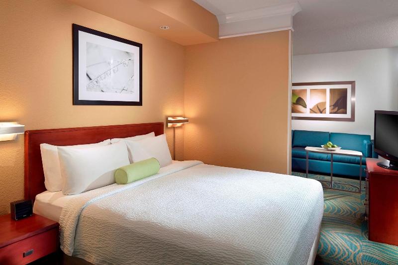带大床的套房, Springhill Suites By Marriott Atlanta Buckhead