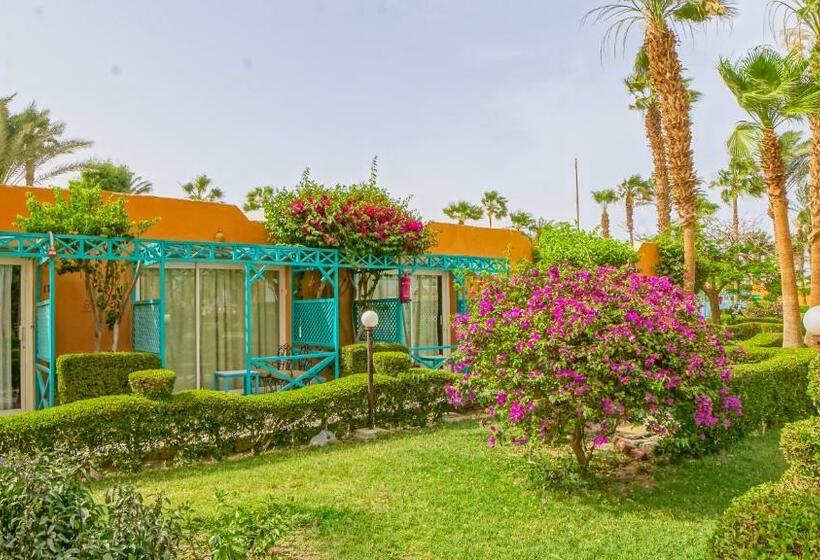اتاق استاندارد با چشم‌انداز باغ, Giftun Azur Resort