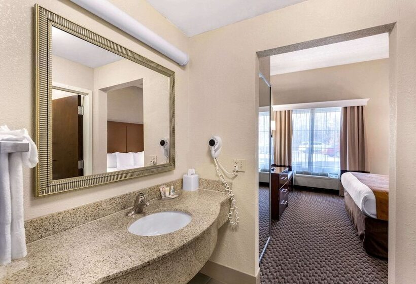 套房, Comfort Suites Columbia Gateway