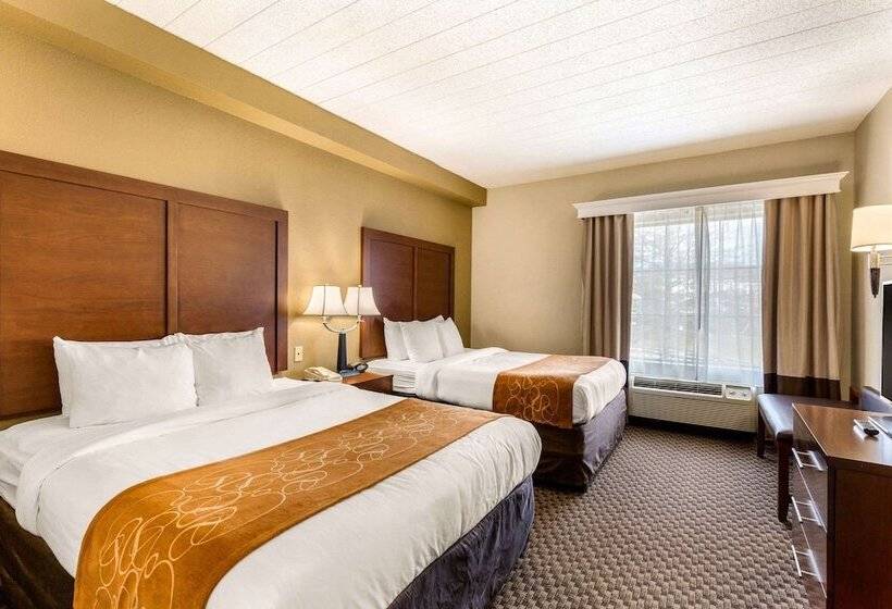 套房, Comfort Suites Columbia Gateway