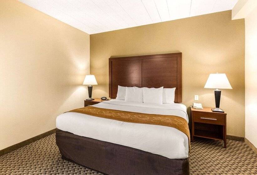 套房, Comfort Suites Columbia Gateway
