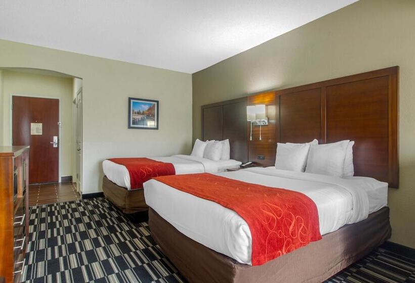 스위트, Comfort Suites