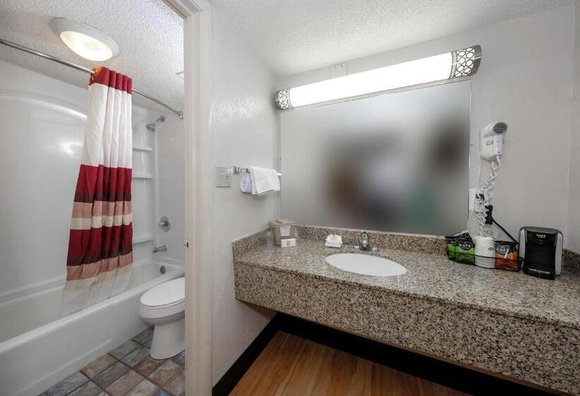 带大床的豪华间, Red Roof Inn Atlanta  Suwanee/ Mall Of Georgia