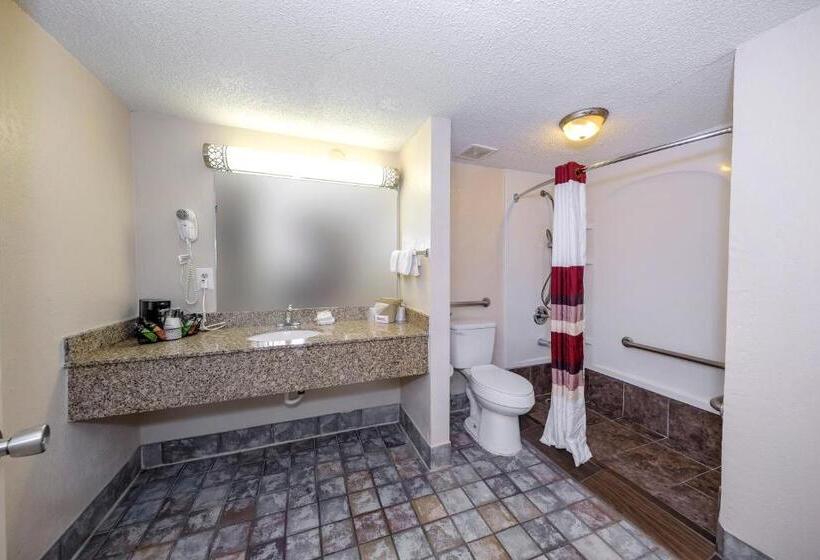 适用于残疾人士的豪华房间, Red Roof Inn Atlanta  Suwanee/ Mall Of Georgia