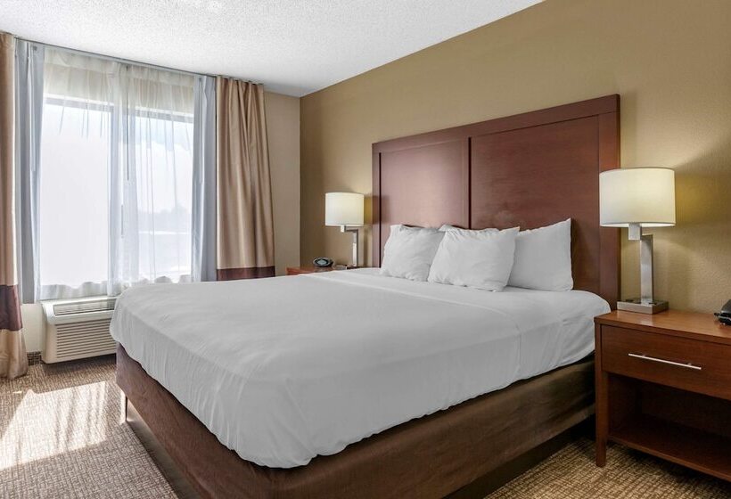 스위트, Comfort Suites Grandville   Grand Rapids Sw