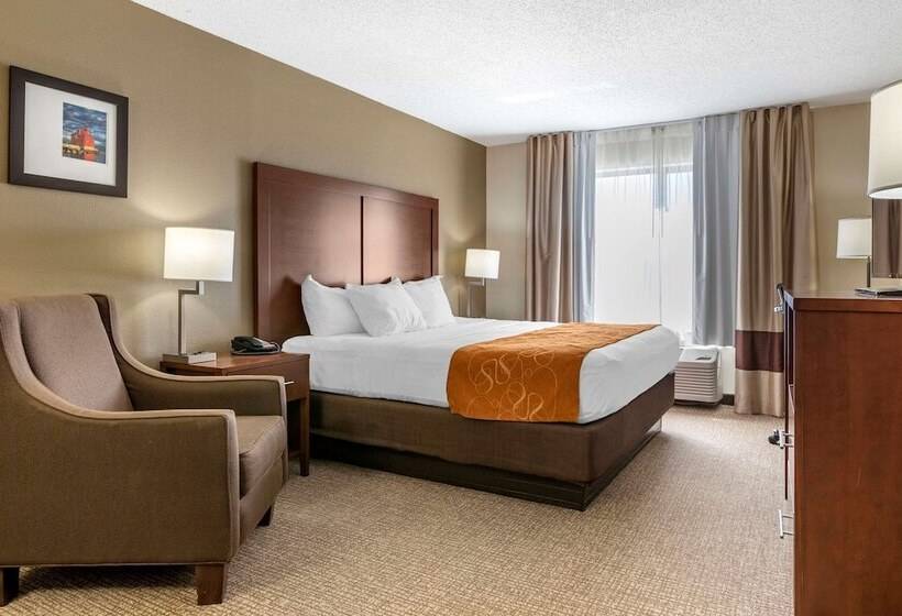장애인을 위한 스위트, Comfort Suites Grandville   Grand Rapids Sw