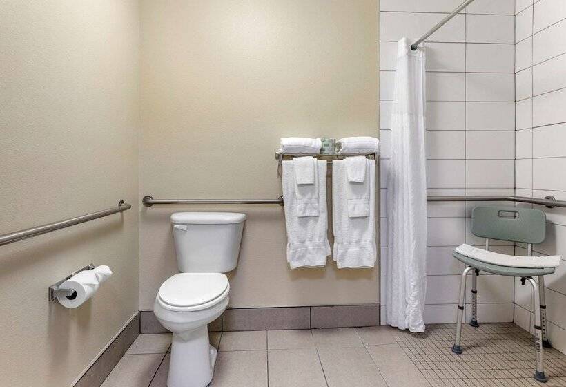 장애인을 위한 스위트, Comfort Suites Grandville   Grand Rapids Sw