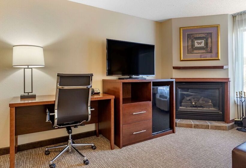 스위트, Comfort Suites Grandville   Grand Rapids Sw