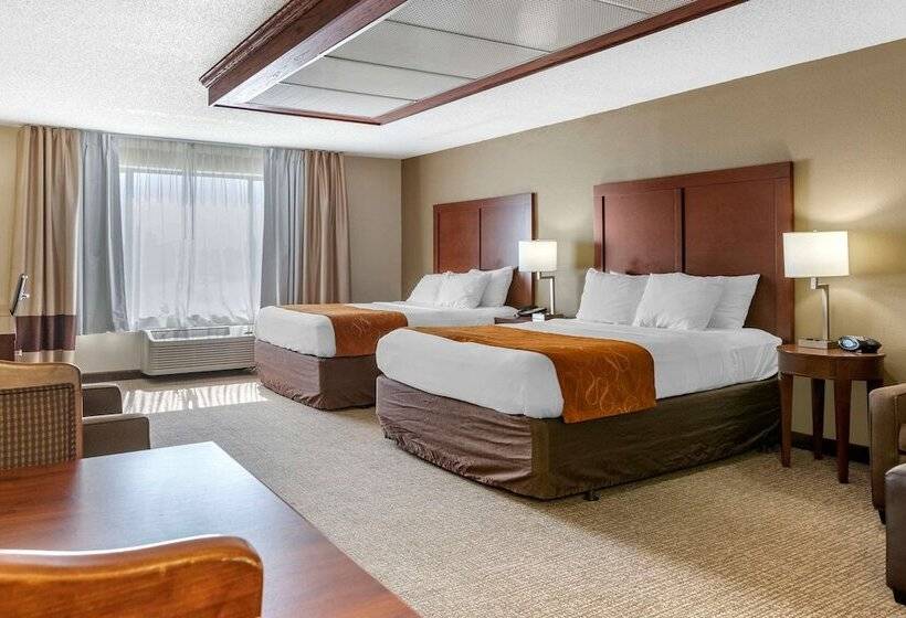 스위트, Comfort Suites Grandville   Grand Rapids Sw