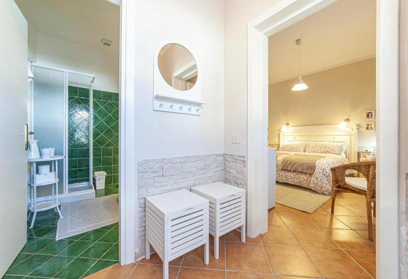 اتاق استاندارد, Domus De Carrera