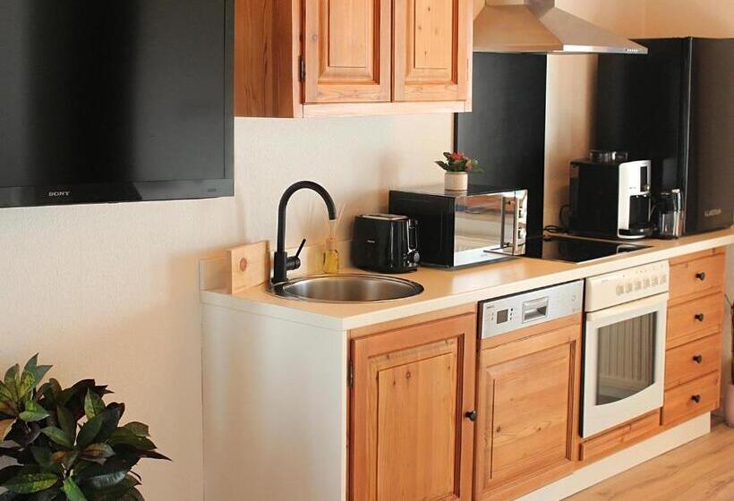 Апартаменты 1 Спальня, Villa Bischofsberg   Lärchen Wellness Apartment