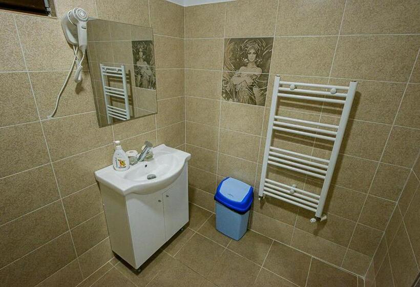 Номер Стандарт, Casa Domneasca Riana