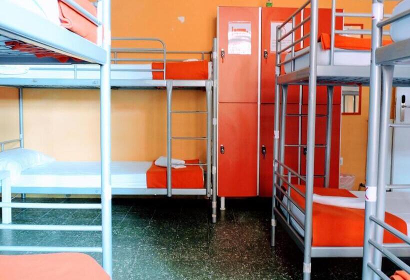تختخواب در اتاق مشترک, Feetup Home Backpackers Valencia