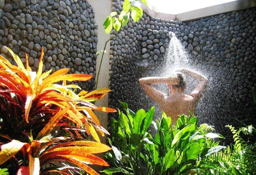 Хижина, Puri Dajuma Beach Eco Resort & Spa