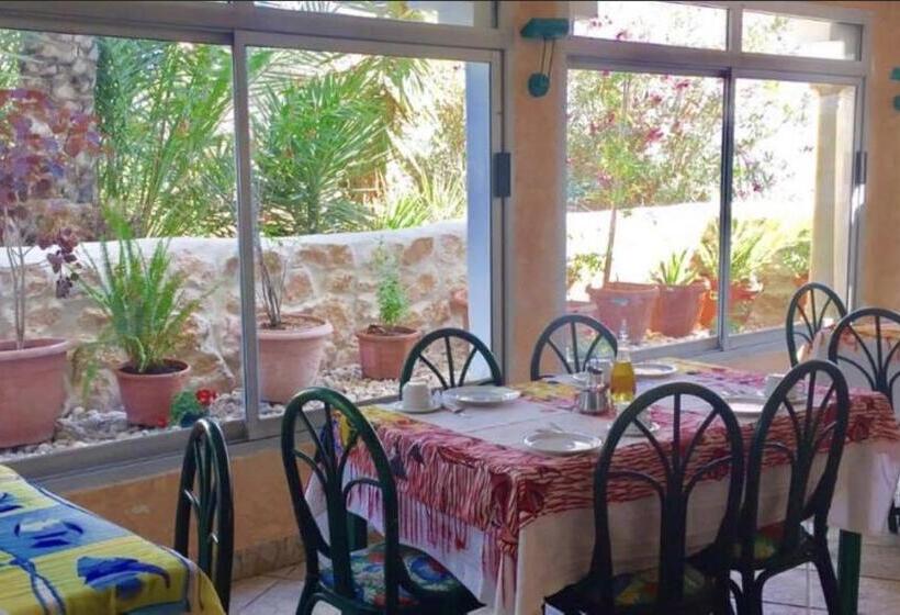 디럭스 룸, Djerba Orient