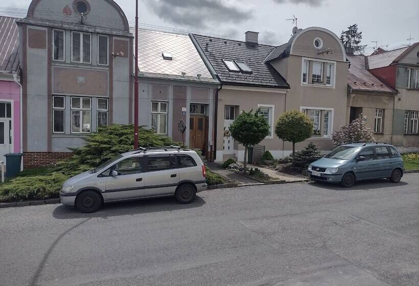 Люкс, Pension Fontana Svitavy