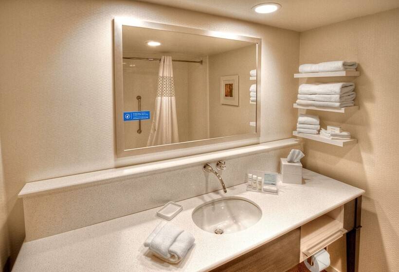 Стандартный Номер Кровать Кинг, Hampton Inn & Suites Asheville Airport