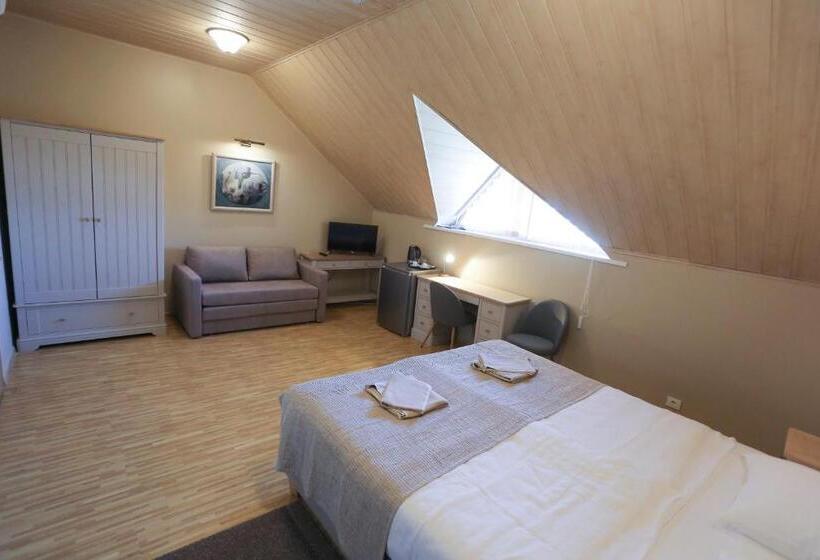 اتاق استاندارد, Jonapolis