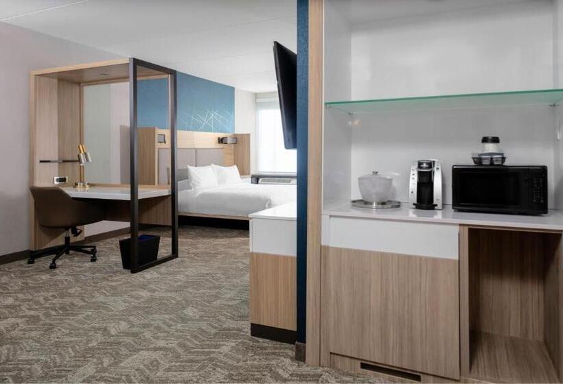 Люкс Кровать Кинг, Springhill Suites By Marriott Durham City View