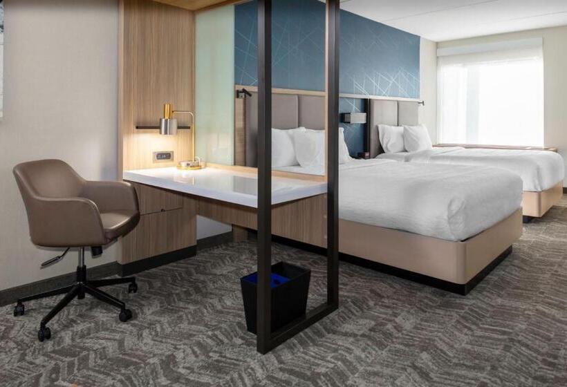 Люкс, Springhill Suites By Marriott Durham City View