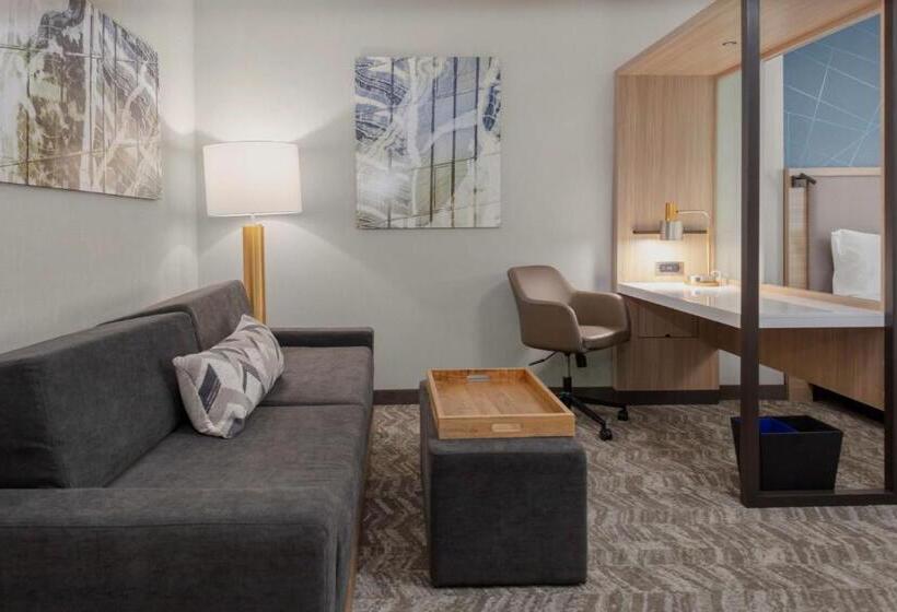 Люкс, Springhill Suites By Marriott Durham City View