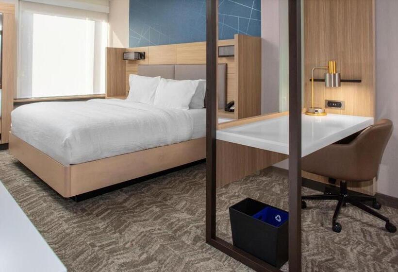 Люкс Адаптированный для Инвалидов, Springhill Suites By Marriott Durham City View