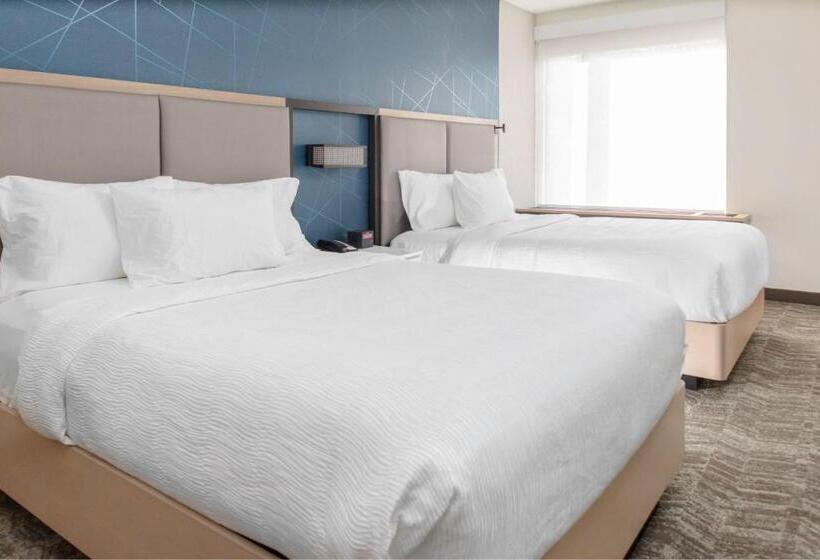 Люкс Адаптированный для Инвалидов, Springhill Suites By Marriott Durham City View