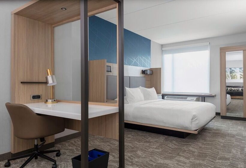 Люкс, Springhill Suites By Marriott Durham City View