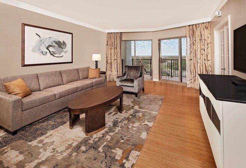 סוויטת 2 חדרי שינה, Hilton Grand Vacations Club Parc Soleil Orlando