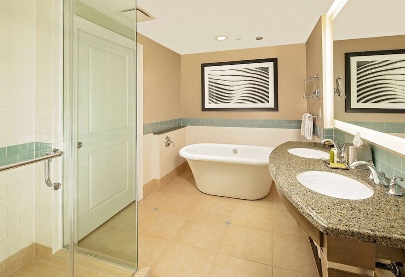 סוויטת 2 חדרי שינה, Hilton Grand Vacations Club Parc Soleil Orlando
