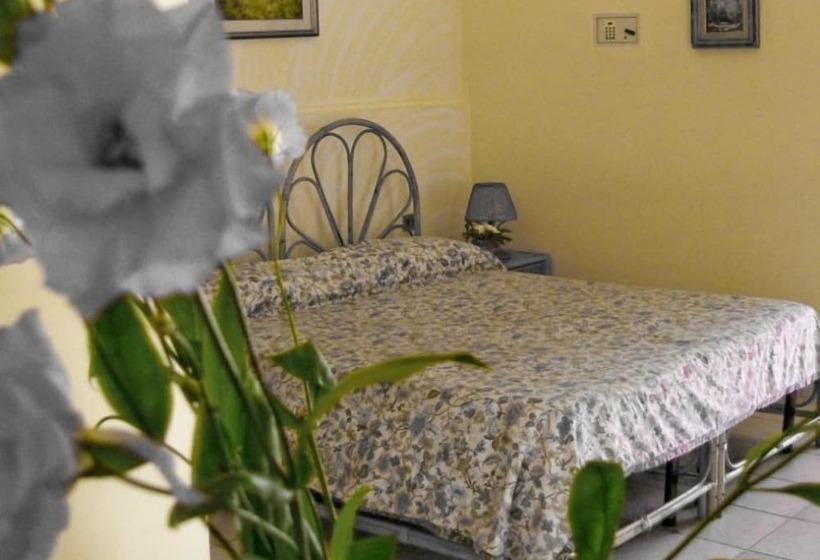 Quarto Triplo Estandar, Il Nespolo