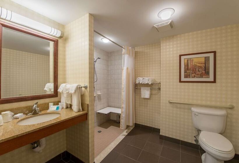 适合残疾人使用的标准间, Hilton Garden Inn Manchester Downtown