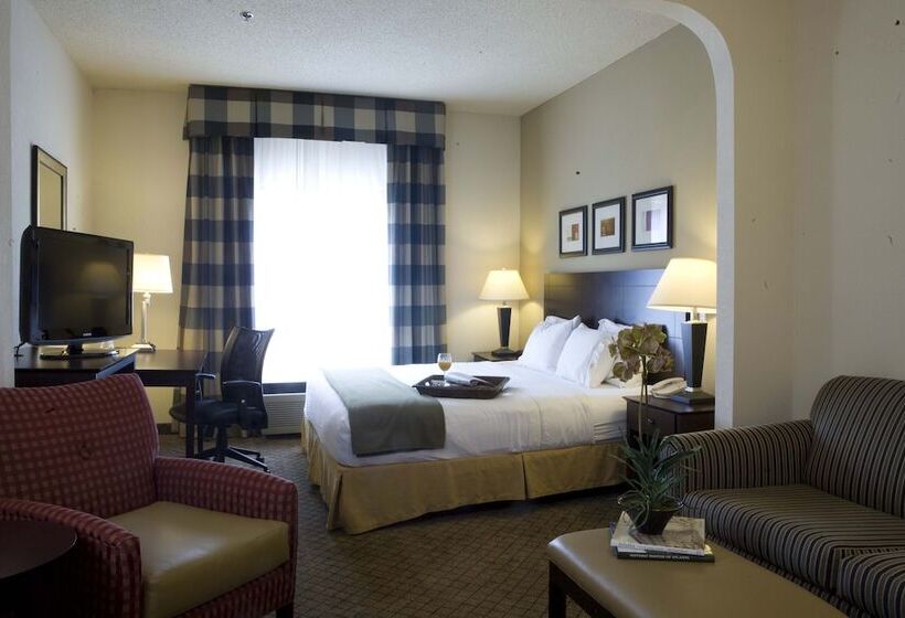 スイート, Holiday Inn Express Hotel & Suites   Atlanta/emory University Area, An Ihg