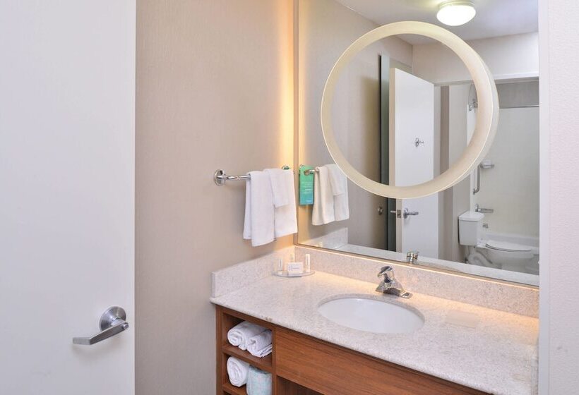 Студия Стандарт, Springhill Suites Las Vegas Henderson