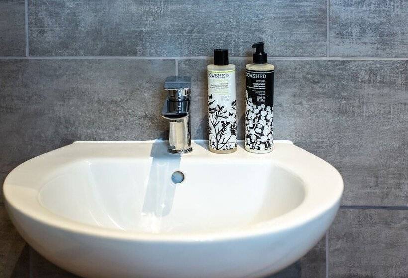 Номер Стандарт Трехместный, Coach House Inn