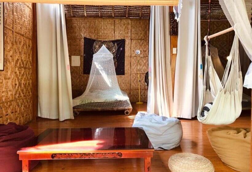 经济房, Nautilus Hostel & Hammocks