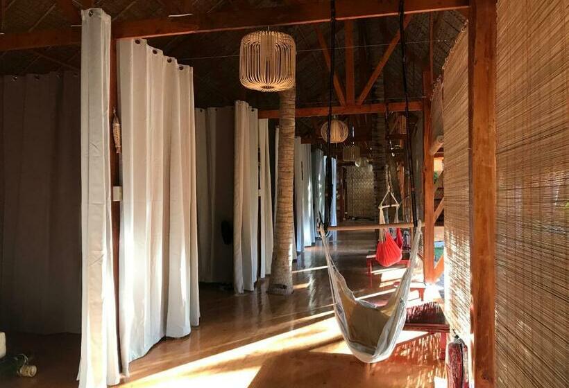 经济房, Nautilus Hostel & Hammocks