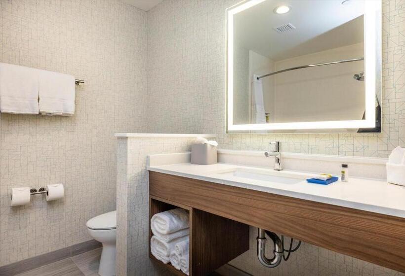 套房, Holiday Inn Express & Suites   San Jose Silicon Valley, An Ihg