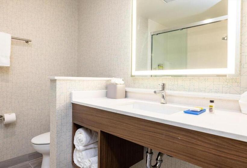带大床的套房, Holiday Inn Express & Suites   San Jose Silicon Valley, An Ihg