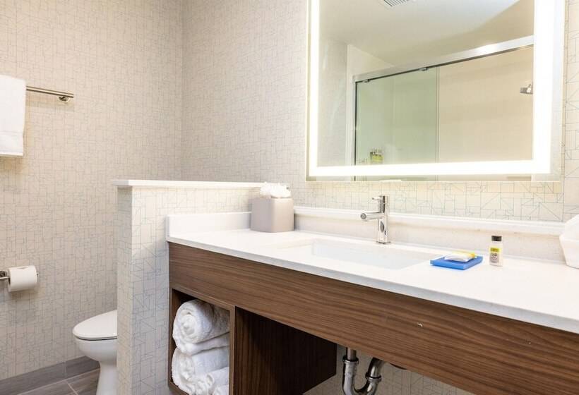适合残疾人士使用的套间, Holiday Inn Express & Suites   San Jose Silicon Valley, An Ihg