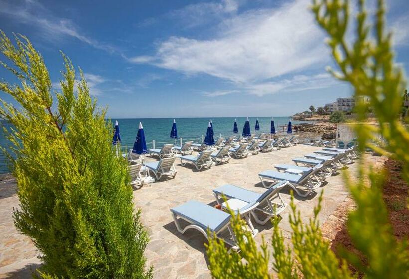 اتاق اکونومی, Mojo Otel Beach