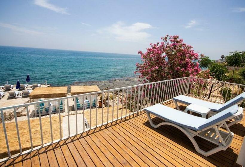 اتاق استاندارد, Mojo Otel Beach
