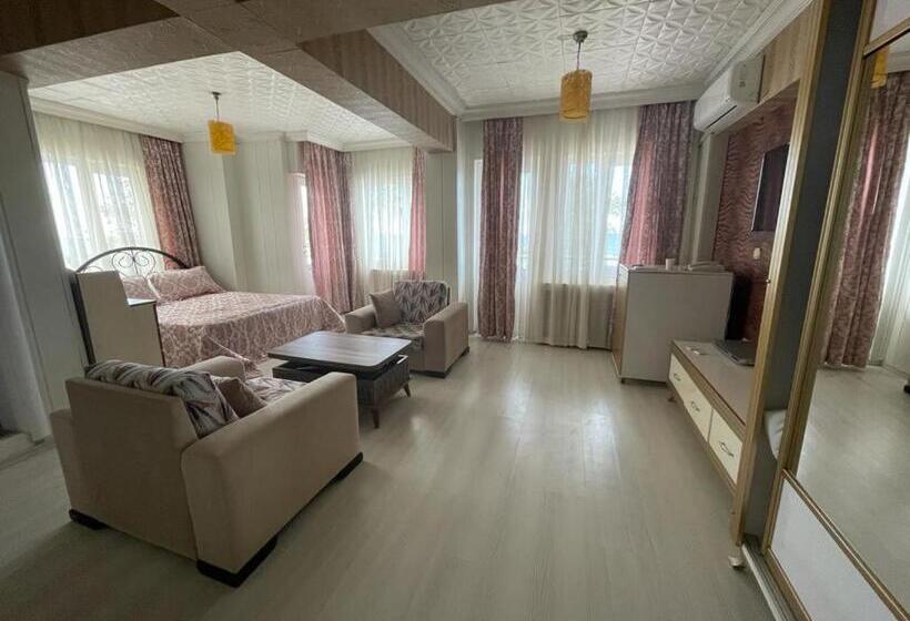 Номер Стандарт, Vi̇zyon Resort