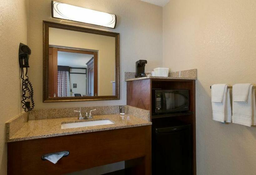 חדר סטנדרט שתי מיטות זוגיות, Rosen Inn International